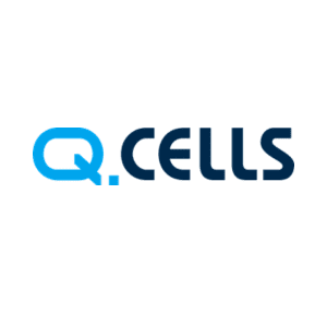 Q Cells
