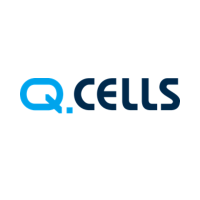 Q Cells